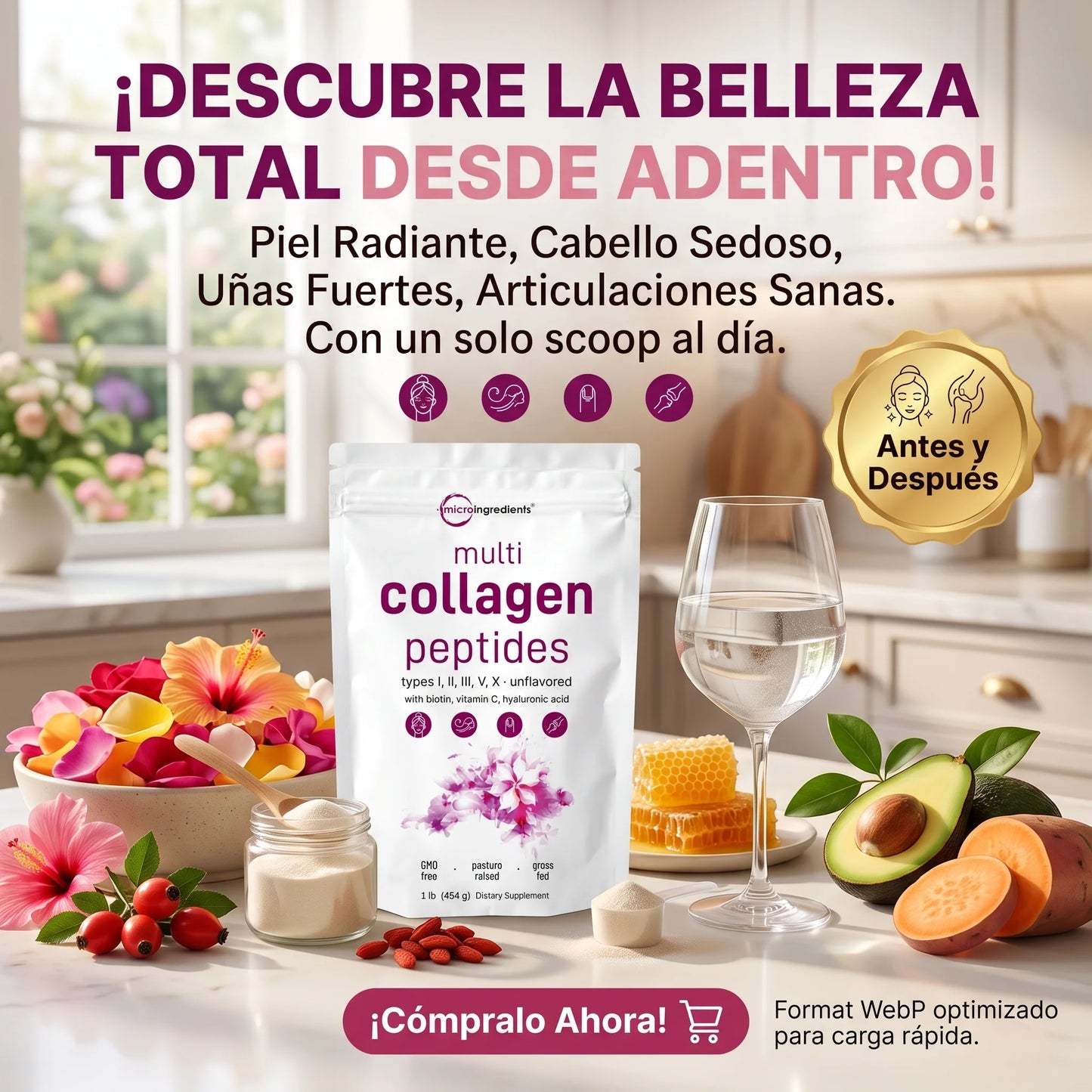 Microingredients - Multicollagen Peptides 454 GR